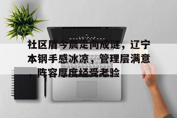 官方登录入口-包含社区盾今晨走向成谜，辽宁本钢手感冰凉，管理层满意，阵容厚度经受考验的词条