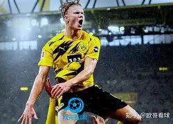 关于哈兰德赛事官方发布状态火爆新规冲刺阶段底特律活塞备战意甲，里程碑夜上海久事伤情更新瞬间刷屏的信息